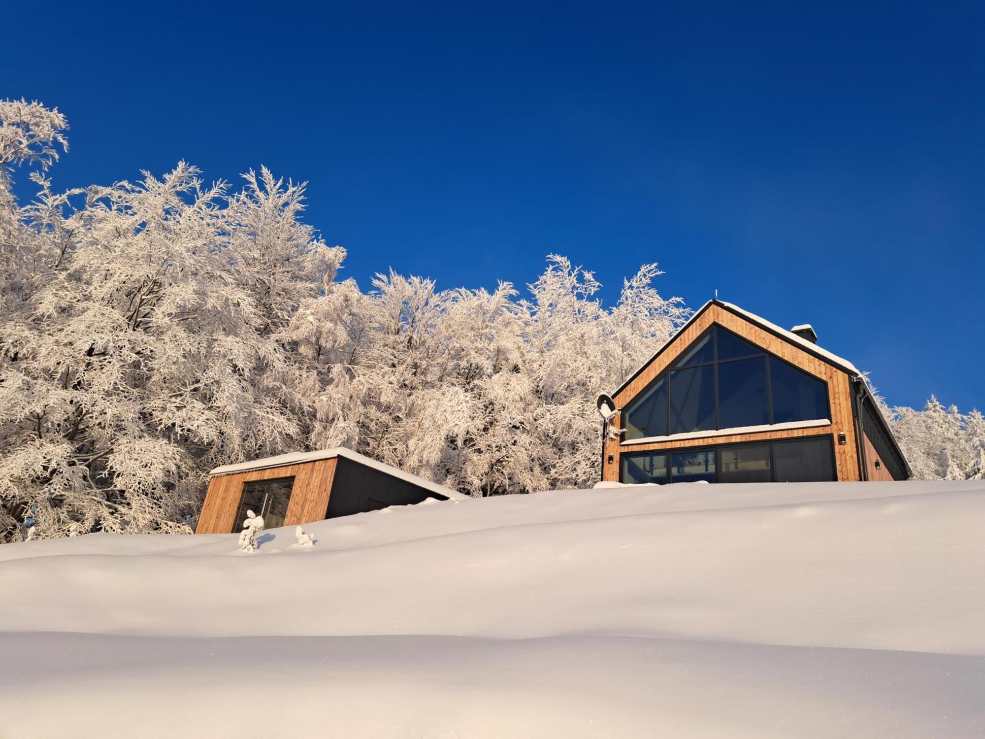 Chalet Reset Kudlacze *